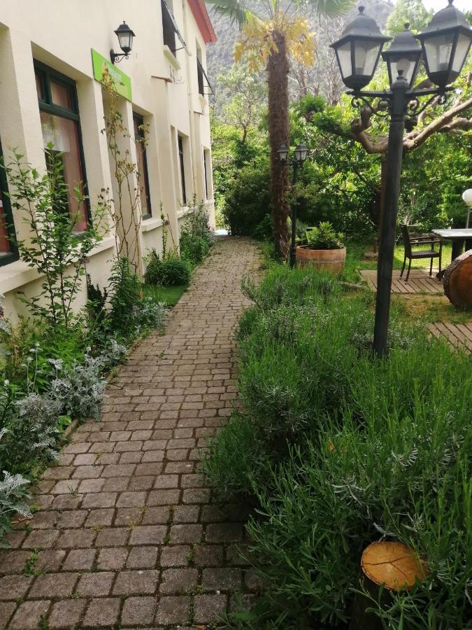 La Mirabelle-casteil Country House Affittacamere Esterno foto