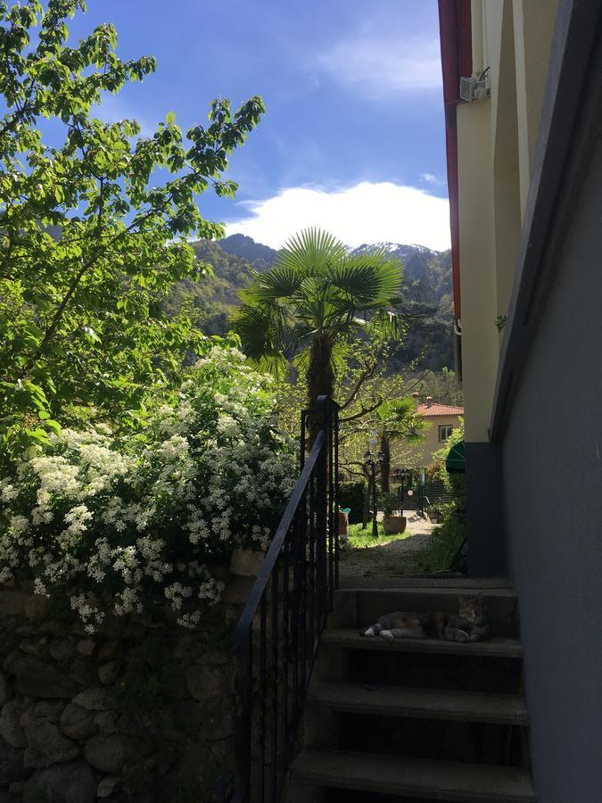 La Mirabelle-casteil Country House Affittacamere Esterno foto