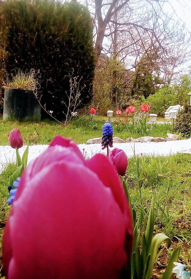 La Mirabelle-casteil Country House Affittacamere Esterno foto