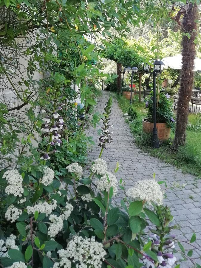 La Mirabelle-casteil Country House Affittacamere Esterno foto
