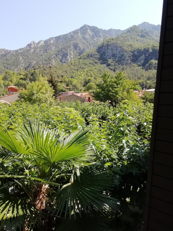 La Mirabelle-casteil Country House Affittacamere Esterno foto
