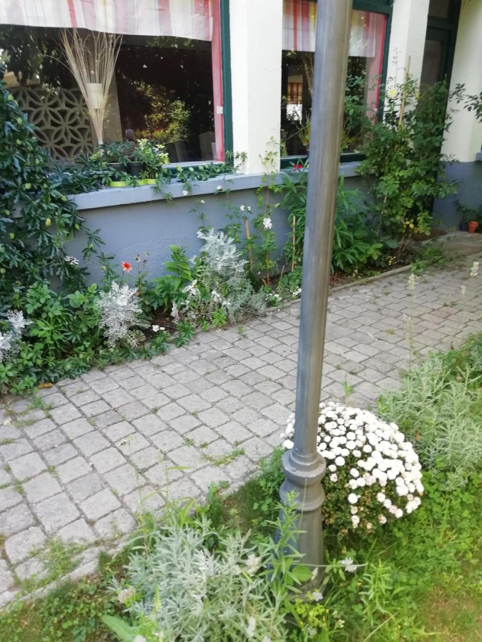 La Mirabelle-casteil Country House Affittacamere Esterno foto